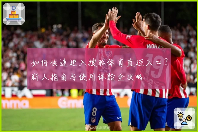 如何快速进入搜狐体育直连入口？新人指南与使用体验全攻略