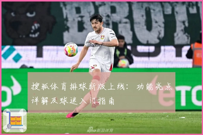 搜狐体育排球新版上线：功能亮点详解及球迷入门指南