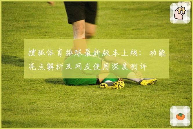 搜狐体育排球最新版本上线：功能亮点解析及网友使用深度测评