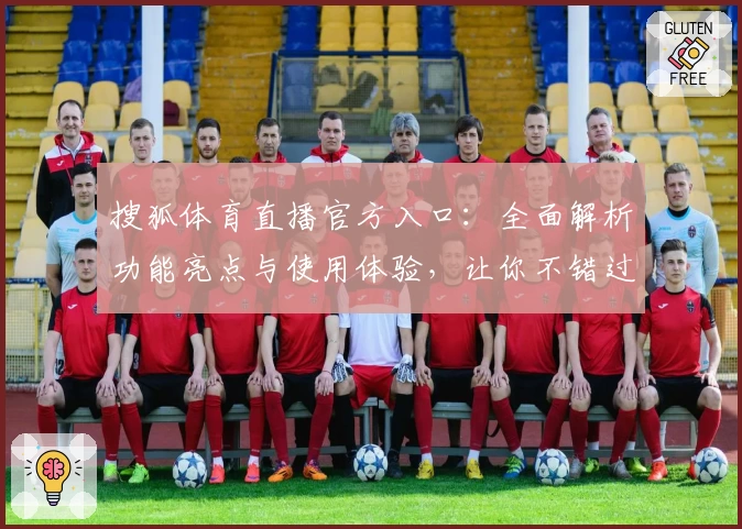 搜狐体育直播官方入口：全面解析功能亮点与使用体验，让你不错过每一场精彩赛事