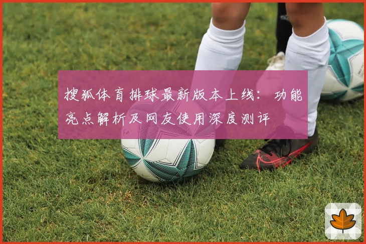 搜狐体育排球最新版本上线：功能亮点解析及网友使用深度测评