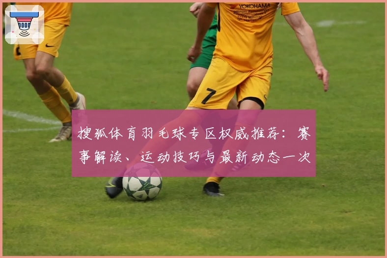 搜狐体育羽毛球专区权威推荐：赛事解读、运动技巧与最新动态一次掌握