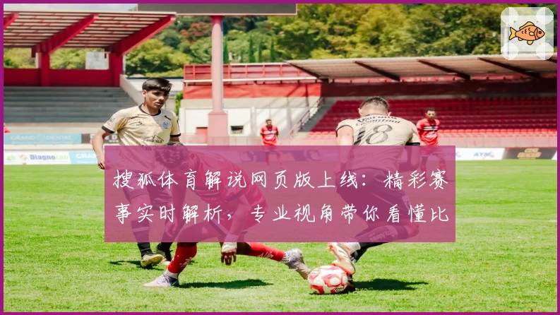 搜狐体育解说网页版上线：精彩赛事实时解析，专业视角带你看懂比赛