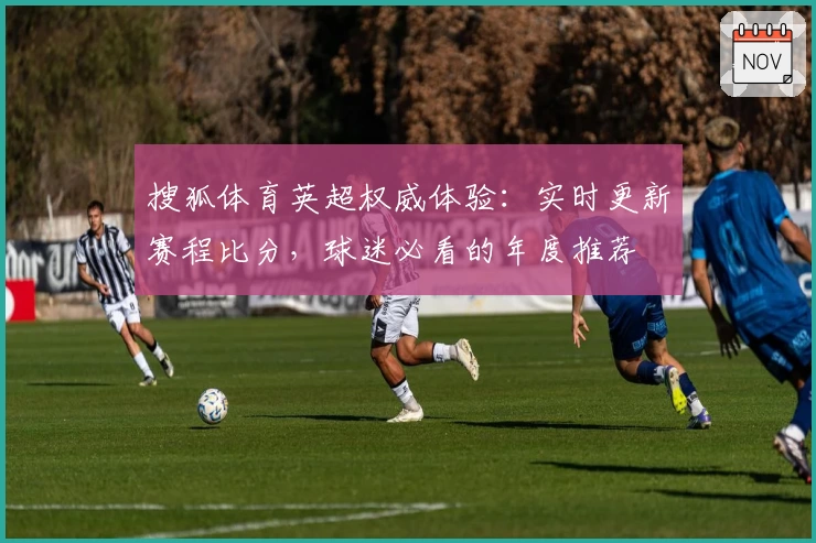 搜狐体育英超权威体验：实时更新赛程比分，球迷必看的年度推荐