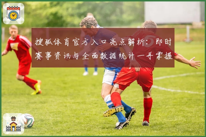 搜狐体育官方入口亮点解析：即时赛事资讯与全面数据统计一手掌握