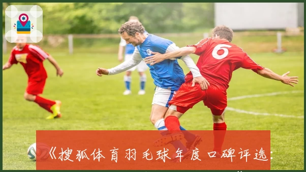 《搜狐体育羽毛球年度口碑评选：用户好评的秘密武器是什么》